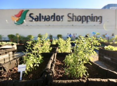 Terraço Verde reaproveita as sobras da praça de alimentação do shopping