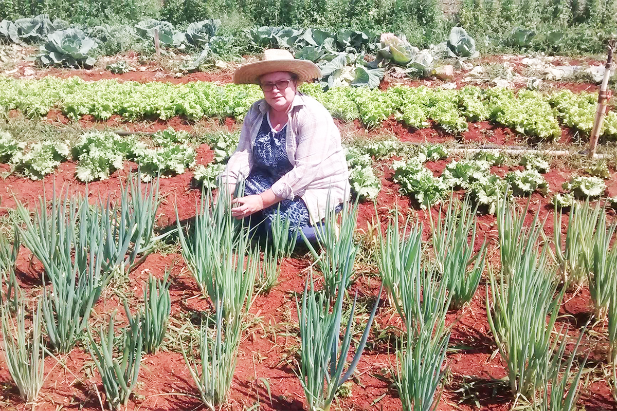 12 casos de inovação para a inclusão da agricultura familiar