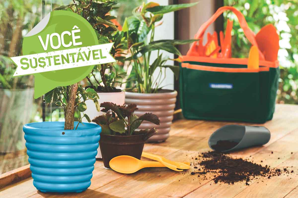 Floresta urbana: 8 formas como plantas podem melhorar sua casa