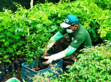 Projeto realiza plantio de 5.000 mudas na Reserva Natural Serra das Almas