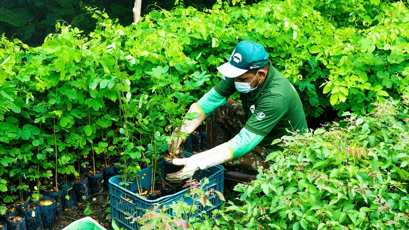 Projeto realiza plantio de 5.000 mudas na Reserva Natural Serra das Almas