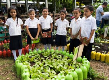 Em dez anos a metologia Escolas Sustentáveis já foi implementada em 23 mil escolas. Foto: © Andrea Galdamés/FAO El Salvador