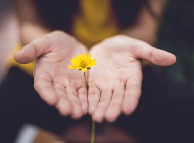 existem inúmeras opções sustentáveis para presentear alguém especial.