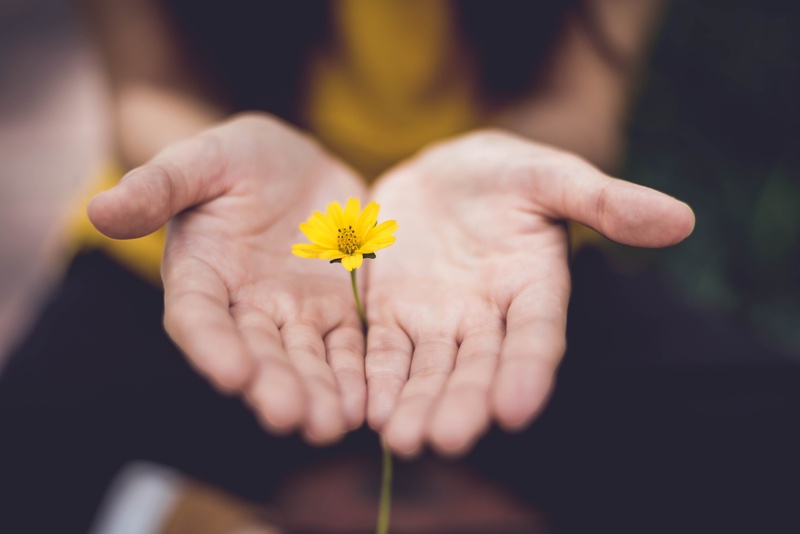 existem inúmeras opções sustentáveis para presentear alguém especial.