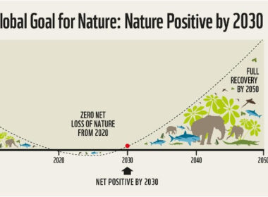 COP15 de Biodiversidade, que se inicia nesta quarta, é oportunidade para começar uma relação positiva com a natureza