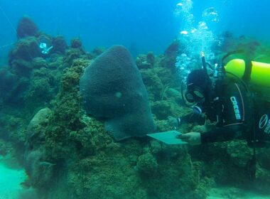 Projeto Mares/Foto: Afonso Santana