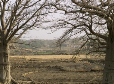 Paisagem de seca no Mali mostra efeitos das mudanças climáticas Foto: © Curt Carnemark/Banco Mundial