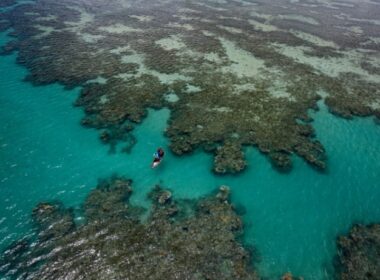 Estudo inédito levanta dados sobre biodiversidade de Abrolhos/Foto: Luciano Candisani/iLCP