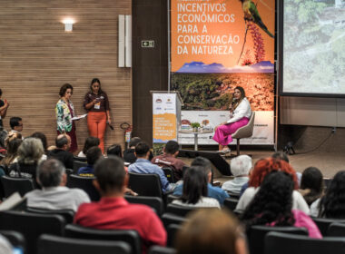Ceará pode se tornar o primeiro estado do Nordeste a ter uma Lei de Pagamento por Serviços Ambientais