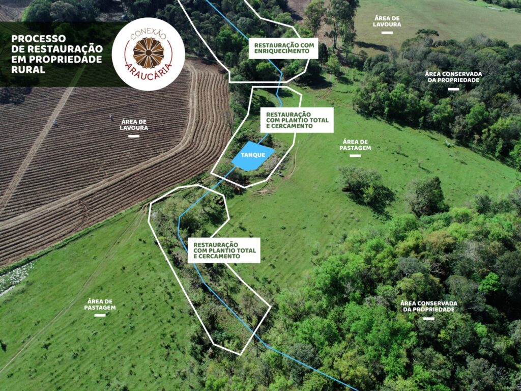 Foram envolvidas mais de 200 propriedades localizadas em áreas de Floresta com Araucária e Campos Naturais, ecossistemas altamente degradados e pressionados por práticas exploratórias.