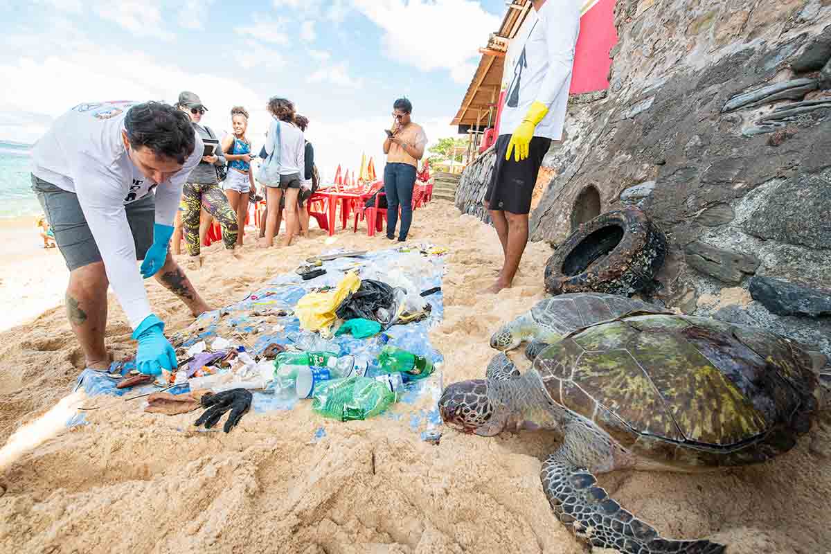 PL 413/2021, e autoria do vereador André Fraga (PV), prevê o ensino sobre a relação entre humano e oceano de forma transversal