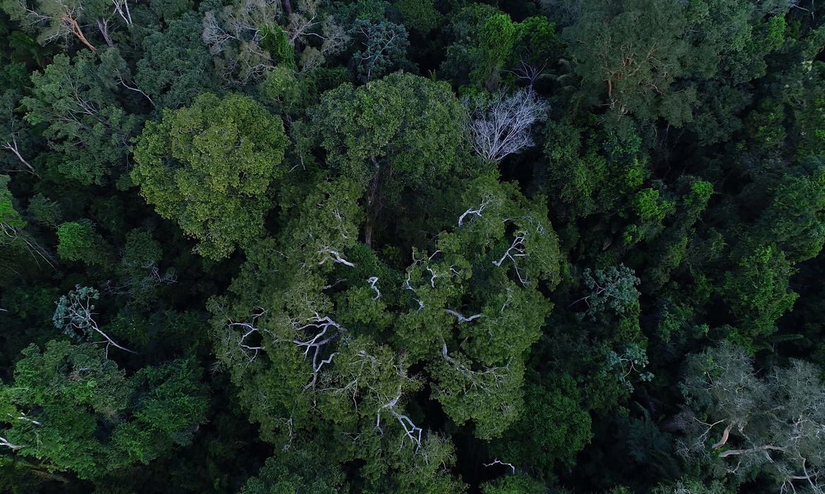 Evento antecede Cúpula da Amazônia, que reunirá chefes de Estado