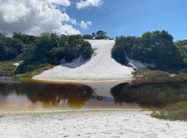 Parque do Abaeté completou 35 anos neste domingo/Foto: Divulgação