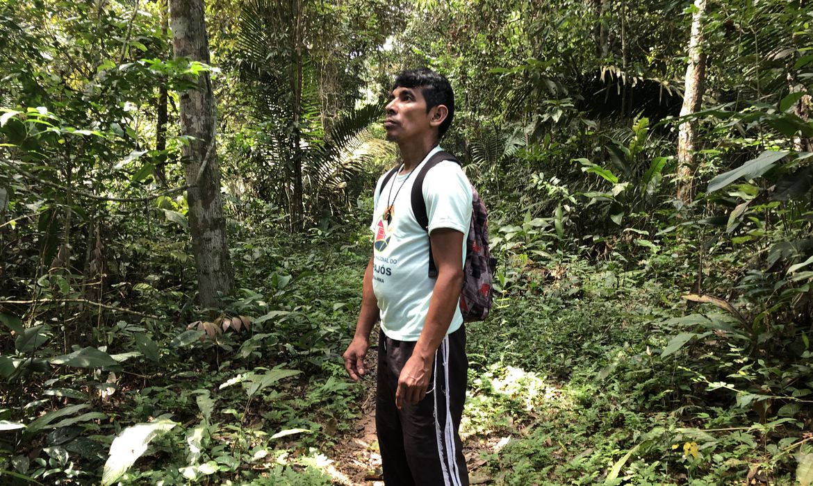 Maior floresta tropical do mundo, a Amazônia sofre com diversas ações praticadas pelo ser humano