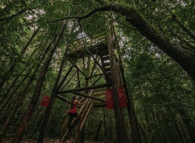 Ekôa Park, parque de experiências ecológicas em Morretes, já recebeu mais de 70 empresas e cerca de três mil pessoas para formações de organizações