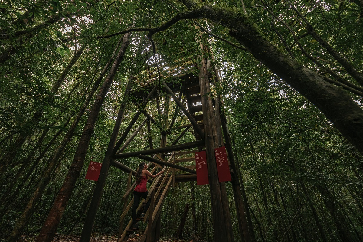 Ekôa Park, parque de experiências ecológicas em Morretes, já recebeu mais de 70 empresas e cerca de três mil pessoas para formações de organizações