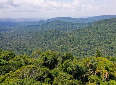 Movimento Impacta Amazônia visa a preservação da floresta/Foto: TV Brasil