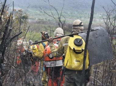 Brigadas voluntárias Chapada