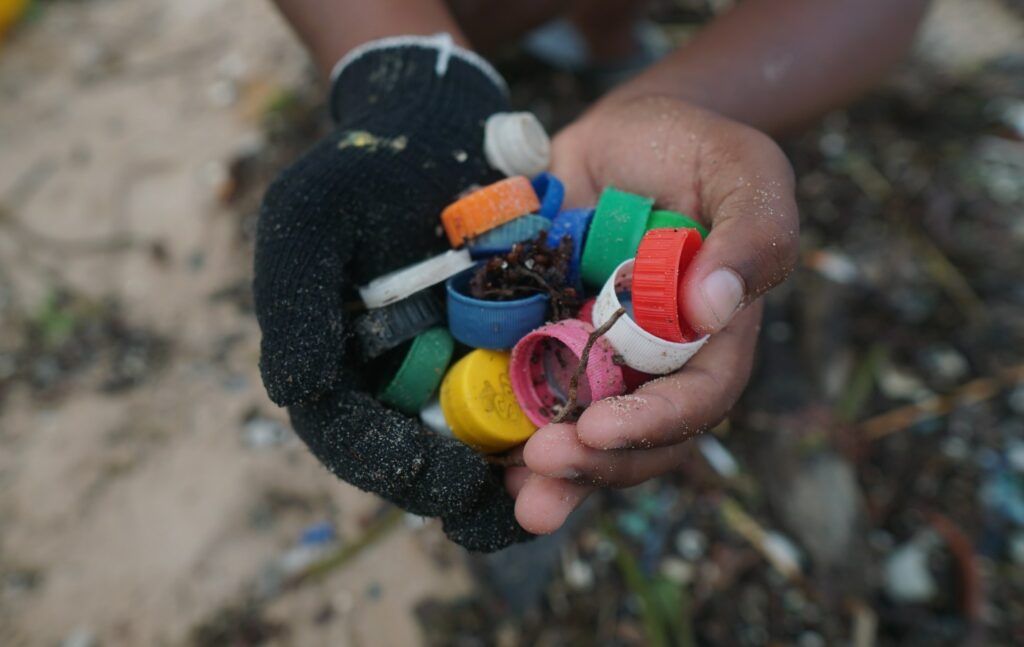 No dia 31, integrantes do Projeto, estudantes e voluntários, realizam a partir das 9h, um mutirão de limpeza, com concentração na Praia do Forte, município de Itaparica. 