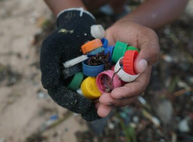 No dia 31, integrantes do Projeto, estudantes e voluntários, realizam a partir das 9h, um mutirão de limpeza, com concentração na Praia do Forte, município de Itaparica.