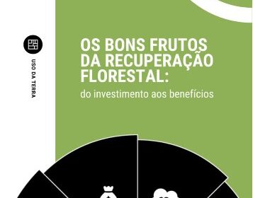 Estudo do Escolhas revela potencial de três frentes de trabalho para dinamizar o setor da recuperação florestal no país