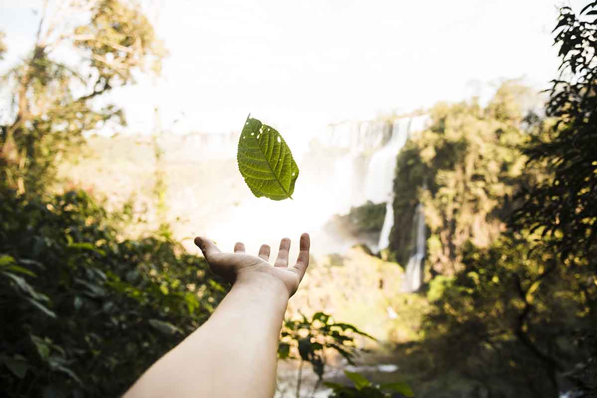 Em 2024, ser mais sustentável é contribuir para um planeta mais justo e ecológico