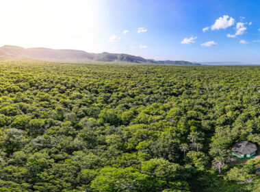 Associação Caatinga celebra Dia Nacional das Reservas Particulares do Patrimônio Natural com apoio em mais de 70% das áreas privadas no Ceará