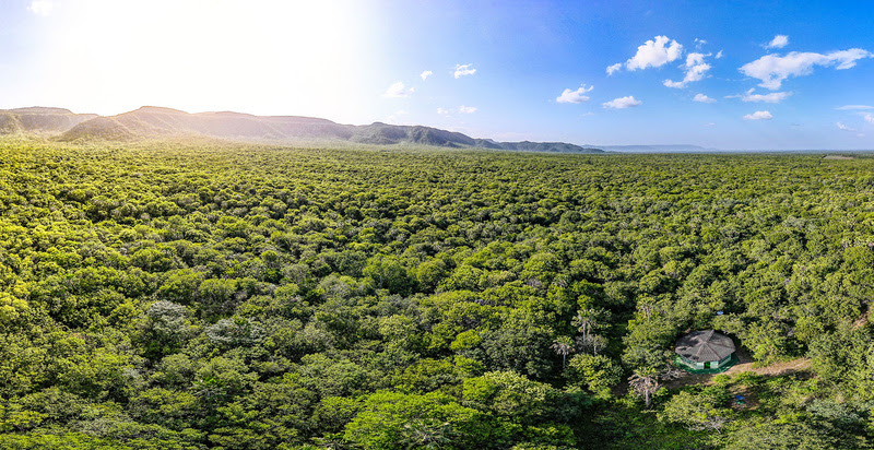 Associação Caatinga celebra Dia Nacional das Reservas Particulares do Patrimônio Natural com apoio em mais de 70% das áreas privadas no Ceará