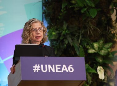 Inger Andersen, diretora executiva do Programa das Nações Unidas para o Meio Ambiente (PNUMA), durante a sessão de abertura da 6ª sessão da Assembleia Ambiental da ONU (UNEA-6) em Nairóbi, Quênia, em 26 de fevereiro de 2024.