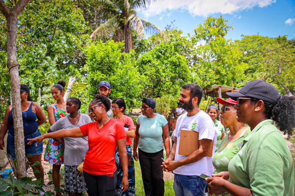 A iniciativa, inspirada por uma missão crucial, une forças com quatro organizações selecionadas estrategicamente para promover a produção responsável e preservar a biodiversidade