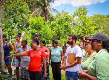 A iniciativa, inspirada por uma missão crucial, une forças com quatro organizações selecionadas estrategicamente para promover a produção responsável e preservar a biodiversidade