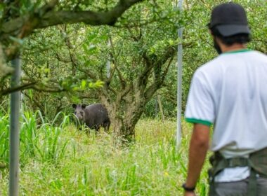 Concorrem agora, em seis categorias, 22 iniciativas de dez países, entre eles, o Brasil/Foto: Gabriel Marchi