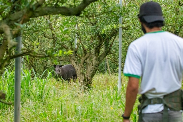 Concorrem agora, em seis categorias, 22 iniciativas de dez países, entre eles, o Brasil/Foto: Gabriel Marchi