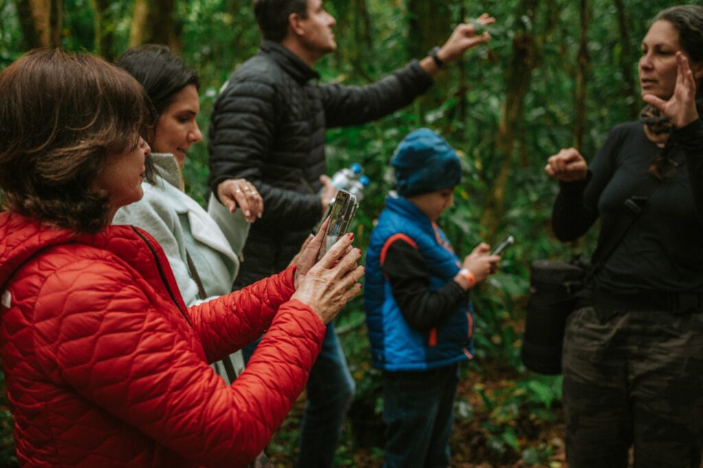 Uma vez por mês, até dezembro deste ano, o parque recebe visitantes interessados em avistar e fotografar diferentes espécies de aves da Mata Atlântica 