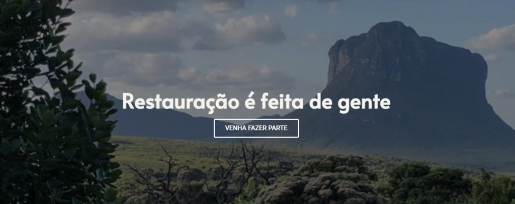 Colocar um dos biomas mais importantes do país, mas também um dos menos lembrados, em destaque é um dos objetivos da criação da Rede para a Restauração da Caatinga (Recaa).