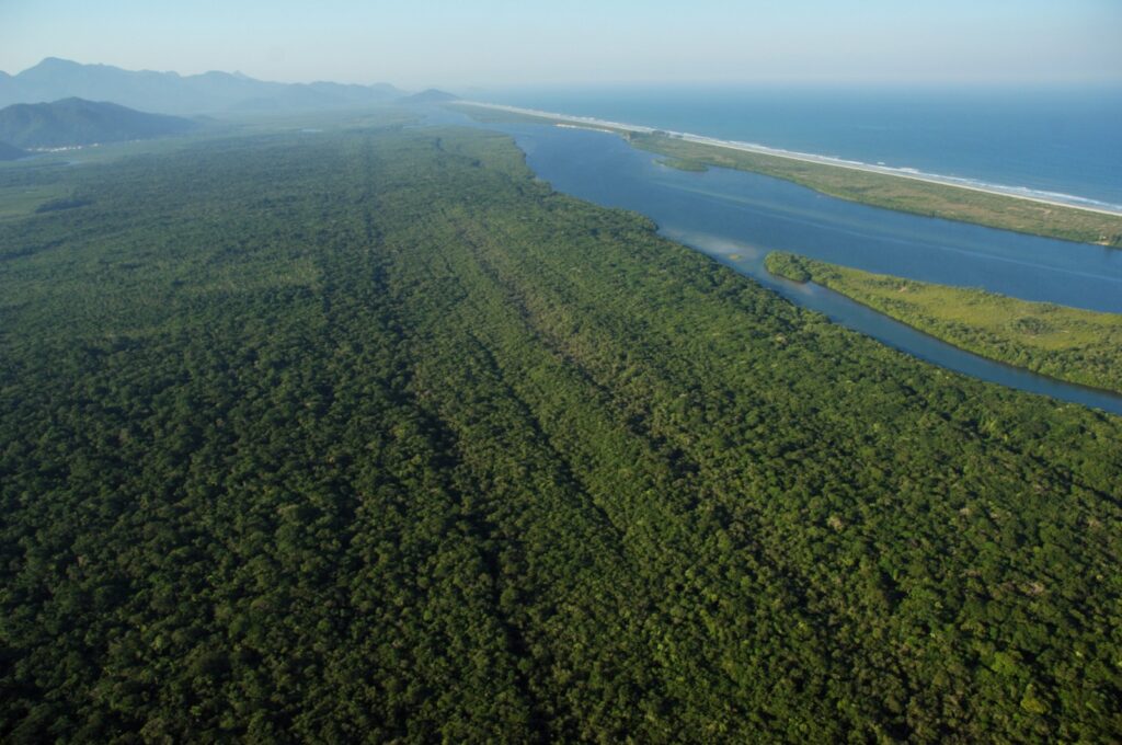 Localizada no território da Grande Reserva Mata Atlântica, é única Unidade de Conservação de Proteção Integral que protege ambientes de praias arenosas no Paraná e espécies como o mico-leão-da-cara-preta, o papagaio-da-cara-roxa e o boto-cinza.