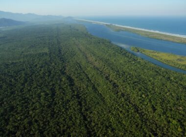 Localizada no território da Grande Reserva Mata Atlântica, é única Unidade de Conservação de Proteção Integral que protege ambientes de praias arenosas no Paraná e espécies como o mico-leão-da-cara-preta, o papagaio-da-cara-roxa e o boto-cinza.