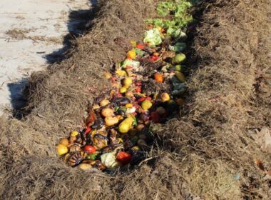 Feira de compostagem do pátio da associação Põe no Balde, em Marabá (PA). Foto: Põe no Balde