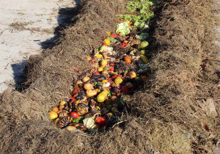 Feira de compostagem do pátio da associação Põe no Balde, em Marabá (PA). Foto: Põe no Balde