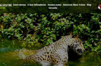 O site do Projeto Vida Silvestre, Vida Livre conta com informações, oportunidades de engajamento com a causa e como fazer denúncias de maus-tratos aos animais silvestres
