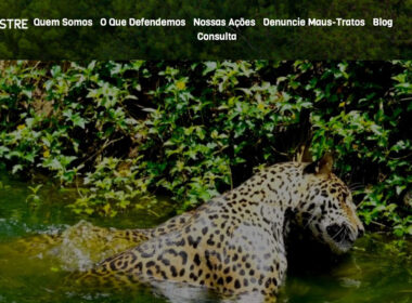 O site do Projeto Vida Silvestre, Vida Livre conta com informações, oportunidades de engajamento com a causa e como fazer denúncias de maus-tratos aos animais silvestres