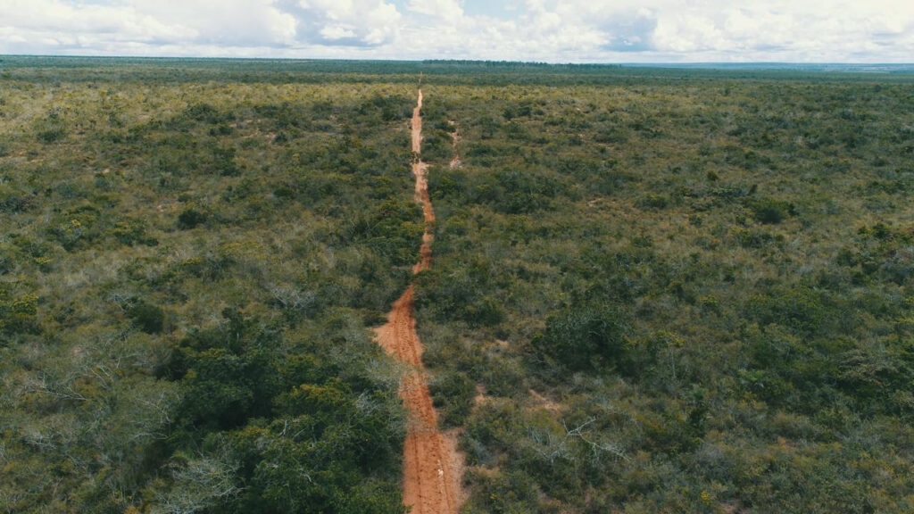 A Bahia tem uma nova Área de Soltura de Animais Silvestres (ASAS), no bioma Caatinga, no município de Água Fria, localizada na Fazenda Raiz, a 159 km de Salvador, com 678 hectares.