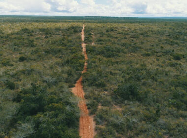 A Bahia tem uma nova Área de Soltura de Animais Silvestres (ASAS), no bioma Caatinga, no município de Água Fria, localizada na Fazenda Raiz, a 159 km de Salvador, com 678 hectares.