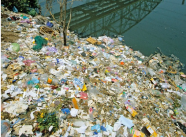 85% dos brasileiros entrevistados defendem que as regras globais exijam redução na produção mundial de plástico