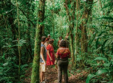 . Programação inclui reflexões sobre olhar maternal para as interações ecológicas e cardápio especial