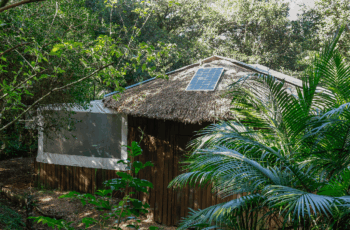 Projeto Ar, Água e Terra instala sistemas fotovoltaicos em comunidades indígenas, promovendo autonomia, sustentabilidade e acesso à comunicação em áreas isoladas