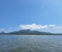 [Artigo] A importância da rede de colaboração em prol da conservação dos manguezais no litoral norte do Paraná