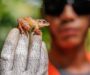 Ações da BAMIN preservam e fortalecem a biodiversidade na Bahia