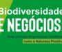 CEBDS lança publicação para apoiar empresas interessadas em ações sustentáveis