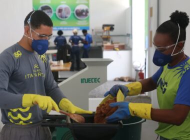 A técnica utiliza bioaceleradores capazes de transformar restos de alimentos crus e cozidos em fertilizante orgânico em apenas 15 dias